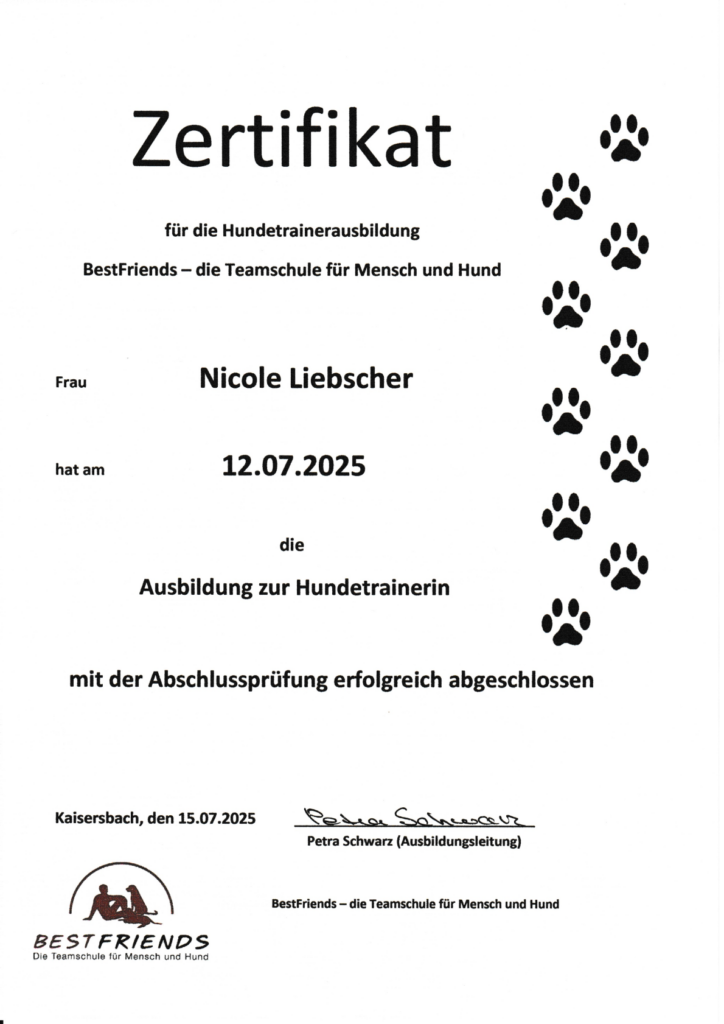 Ausbildung Hundetrainerin Zertifikat