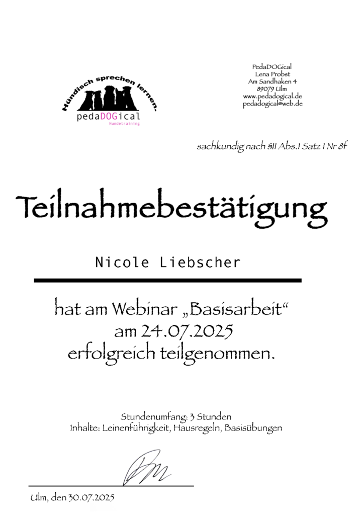 Basis Arbeit Seminar
