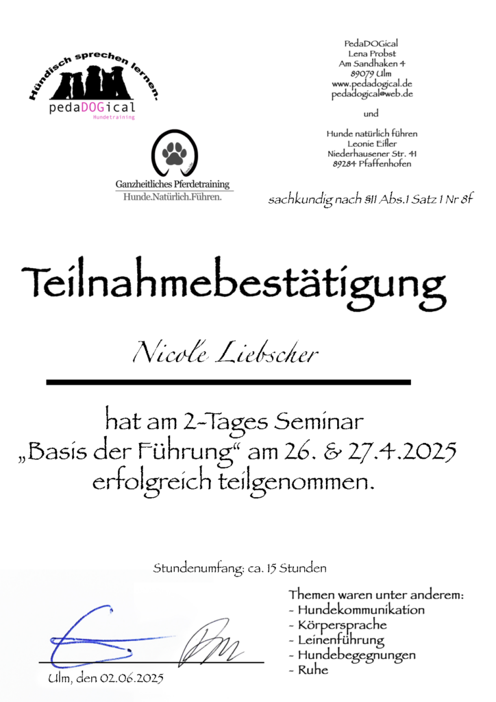 Basis Führung Seminar
