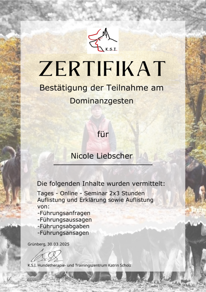 Dominanzgesten Seminar